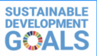 SUSTAINABLE DEVELOPMENT GOALS（外務省のHPへ）